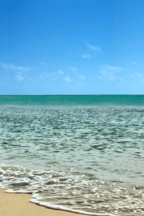 Яндекс картинки