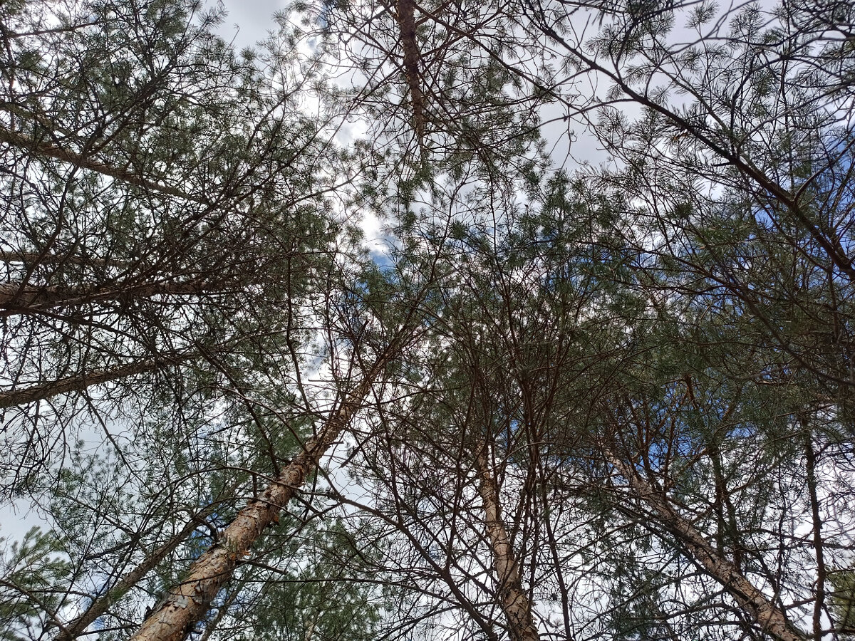 Фото из личного архива