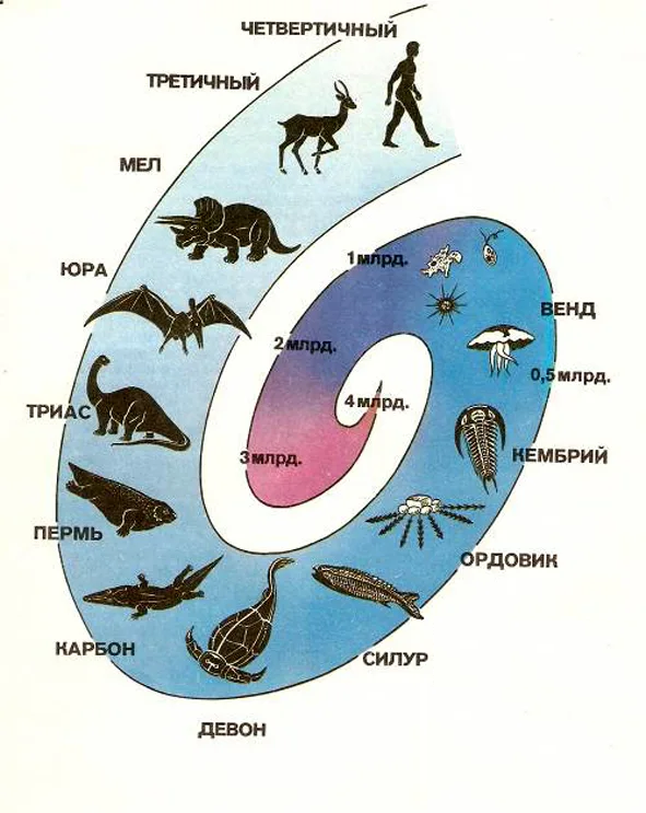 Схема основные этапы развития жизни