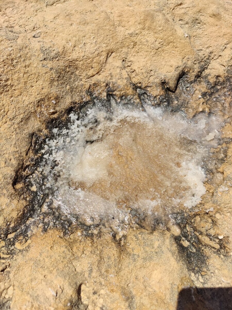 островок соли на камне