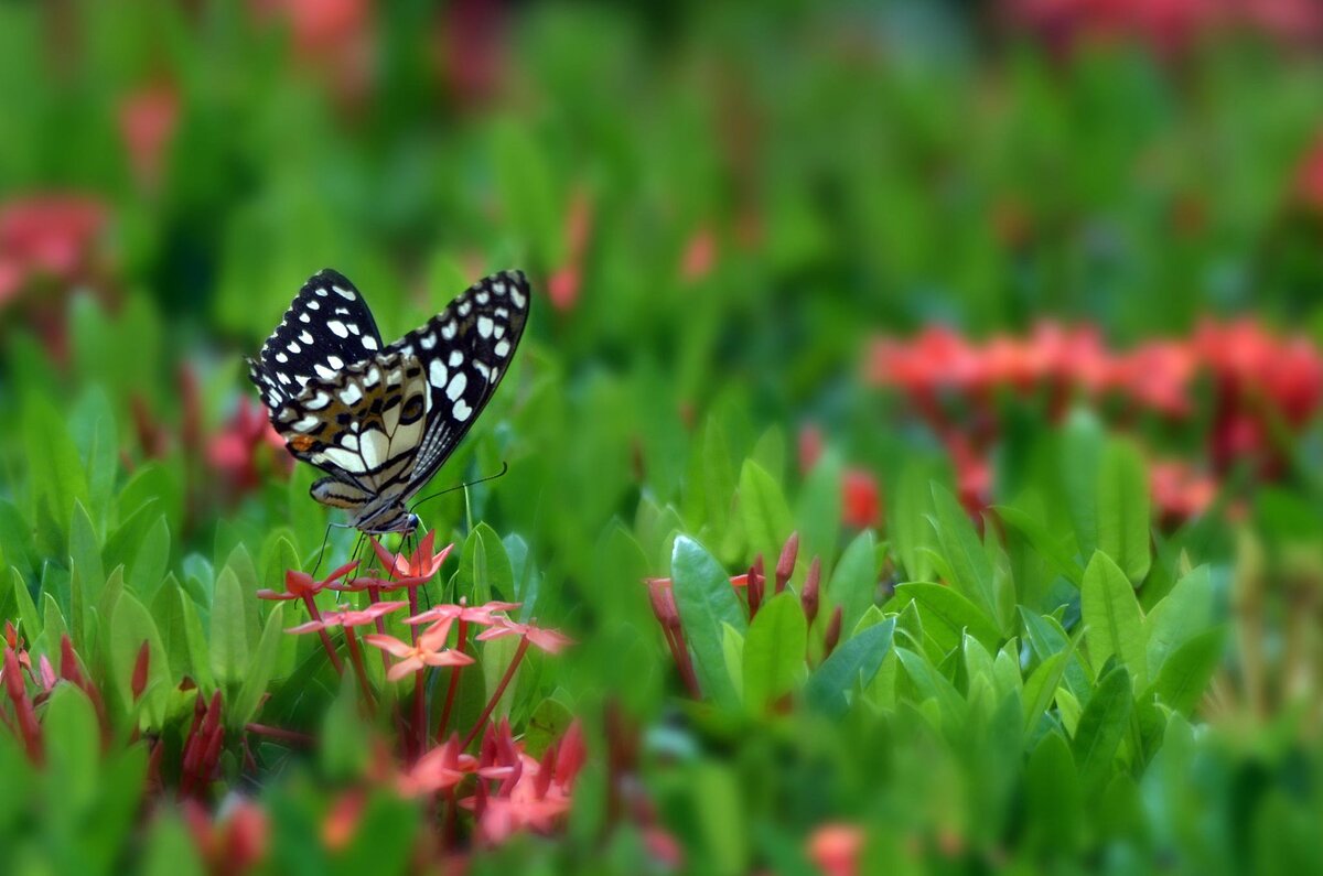 фото из открытого доступного источника сети интернет