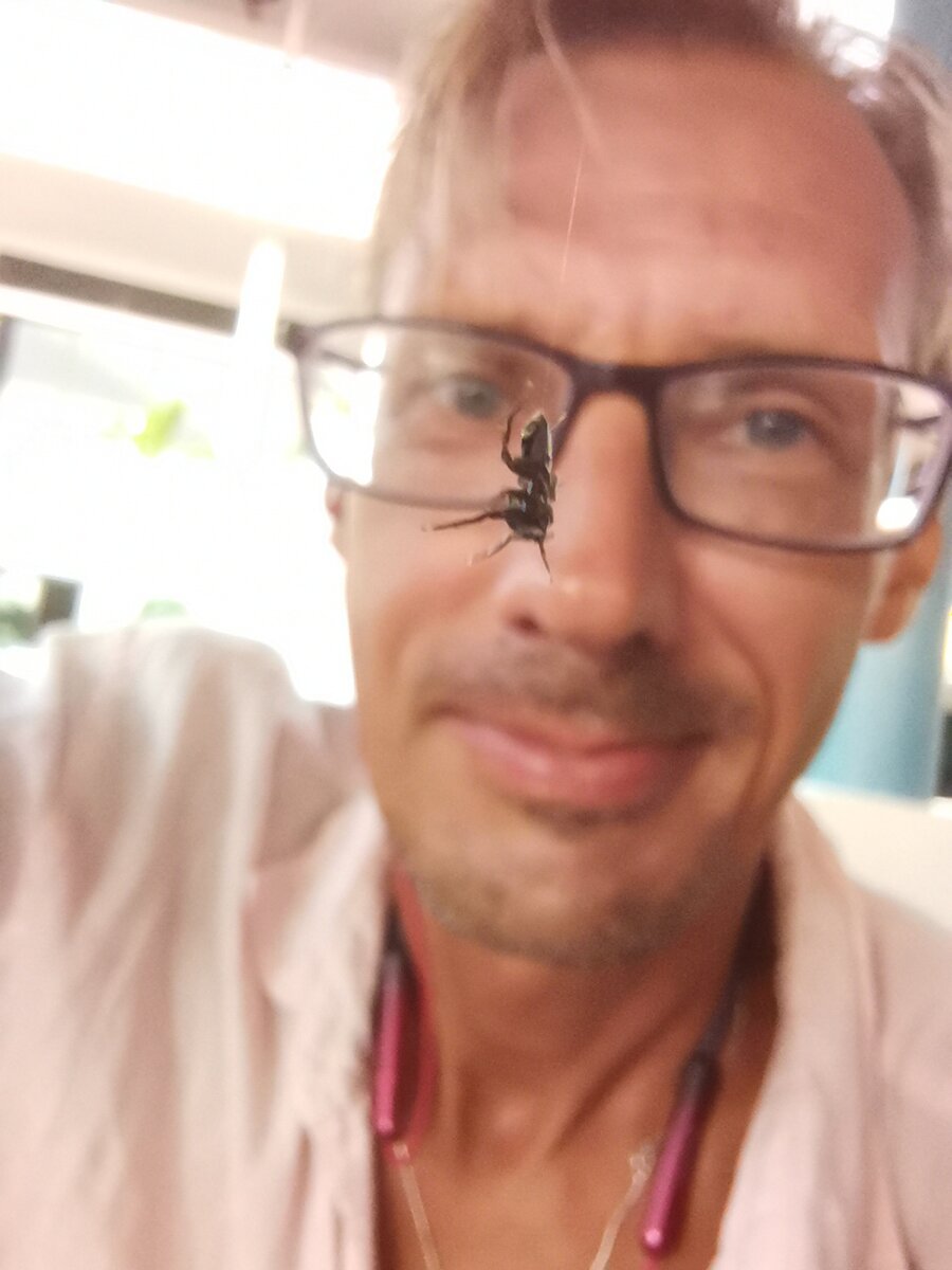 "Ты ещё недостаточно стар, если на тебе нет паутины". Особняк Агаты Кристи 1956 год постройки. Валера значительно моложе.