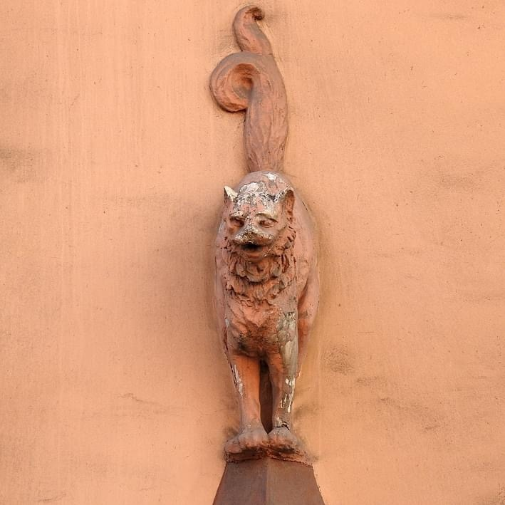 Кот
Доходный дом И. Ф. Алюшинского, 1908 год.
Фото: Андрей Мархотин, «Чувства в деталях», https://vk.cc/co2Rbm