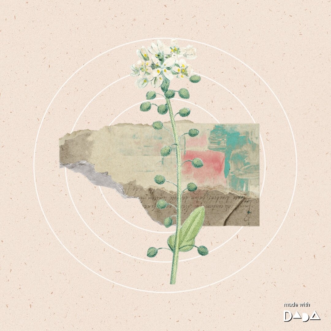 Коллаж автора