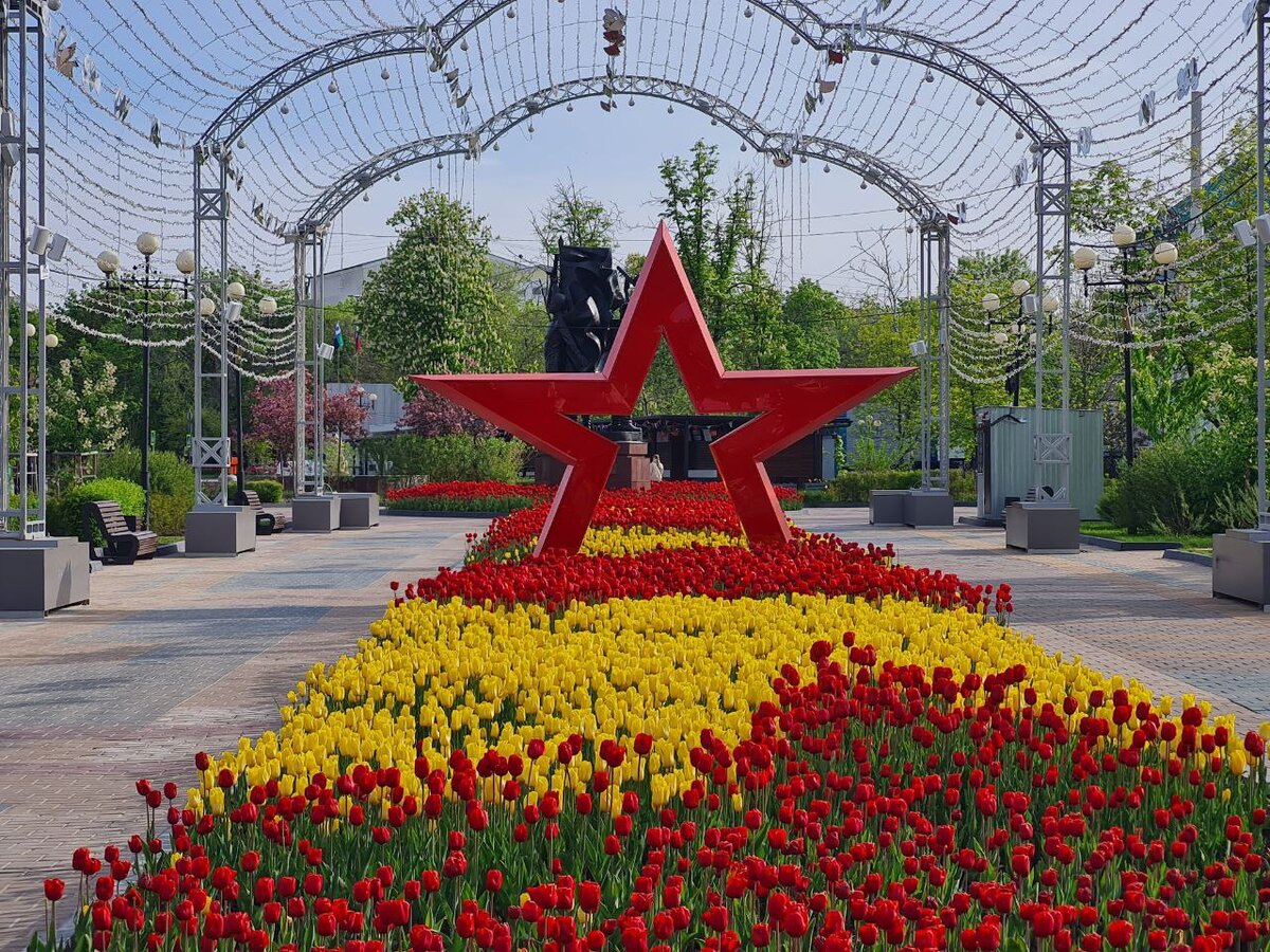 Фото Дмитрия Алексеева