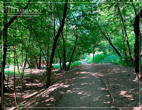 Парк долина реки. Парк долина реки сходня в куркино. Парк долина реки сходня в куркино. Долина реки чертановка москва. Долина реки сходни в куркино природный парк.