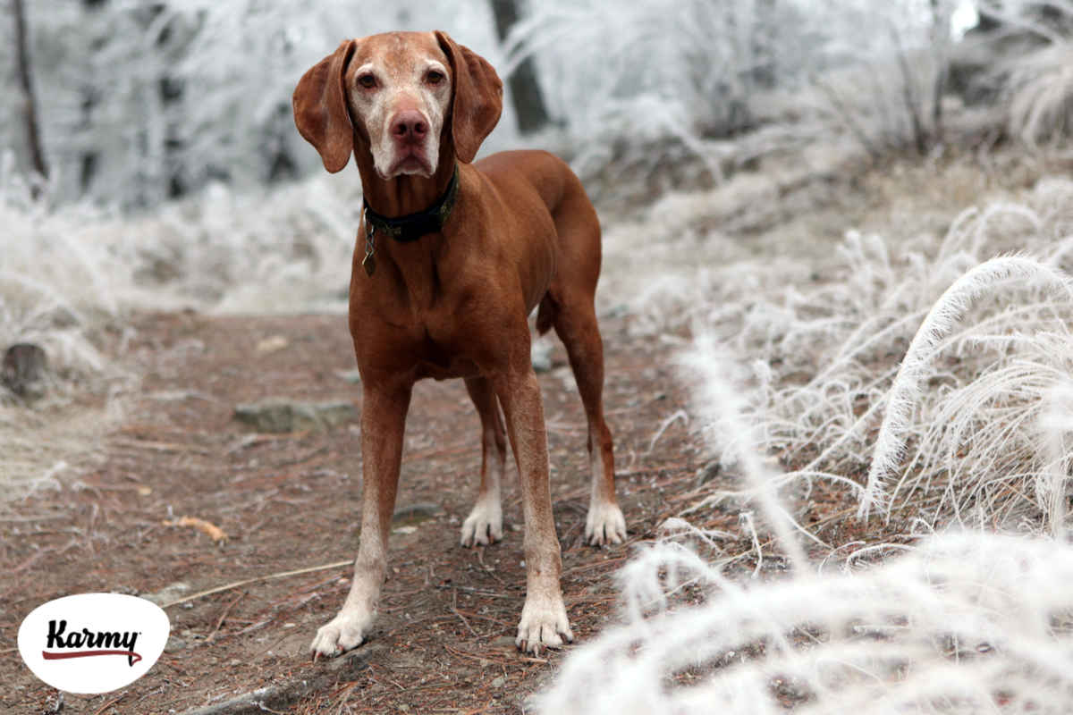 Авторское изображение с использованием картинки с фотостока "Unsplash"