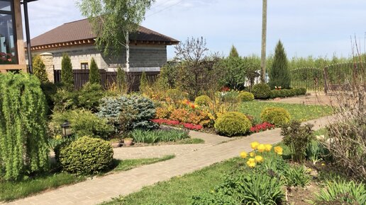 В саду у карины