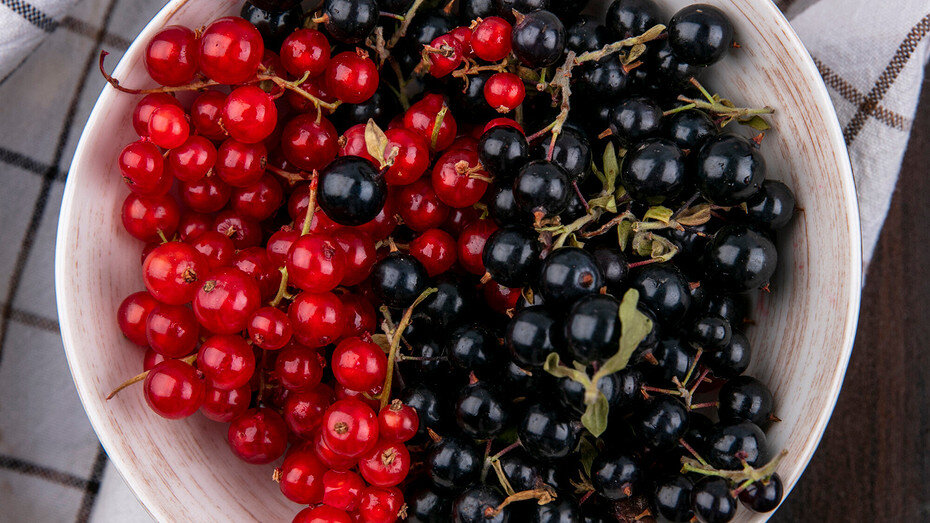     Здесь и далее: freepik.com