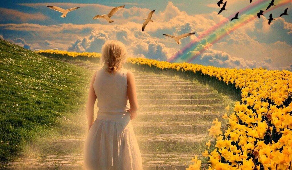 Изображение из интернета. Спасибо Автору!