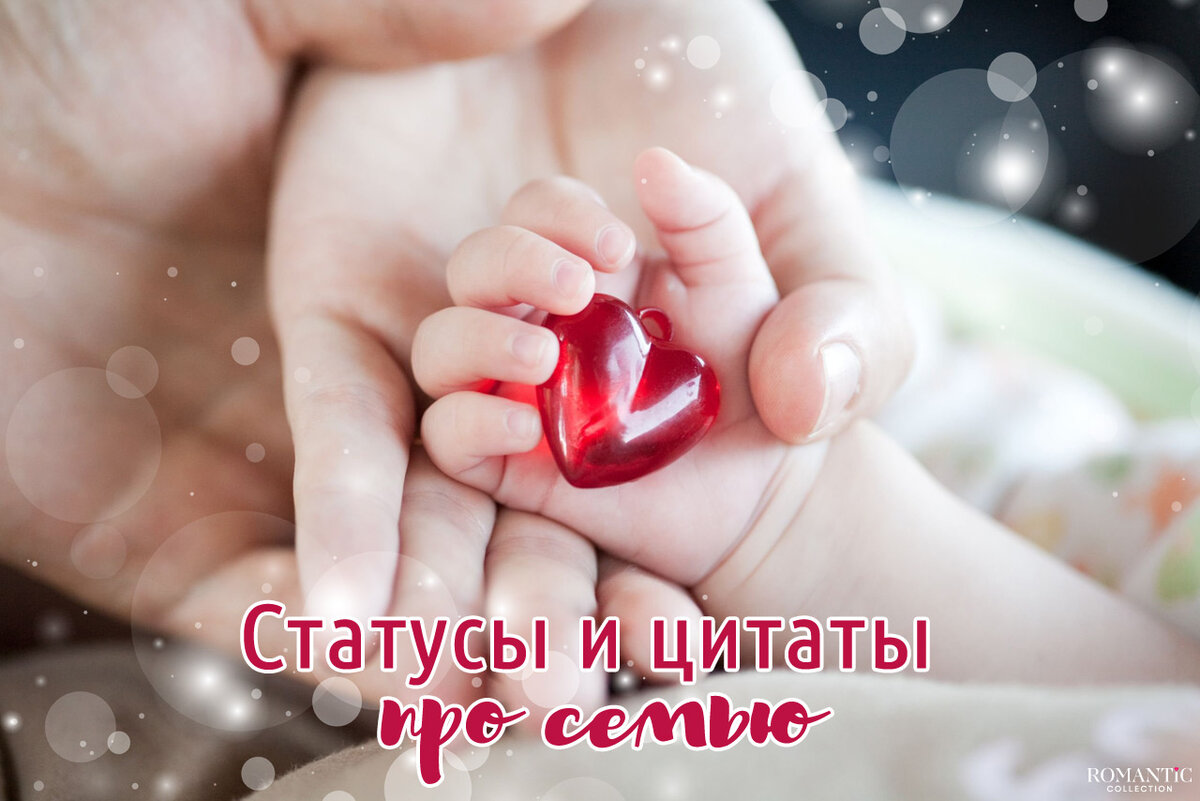 Цитаты о семье и семейных ценностях ( цитат) 📃