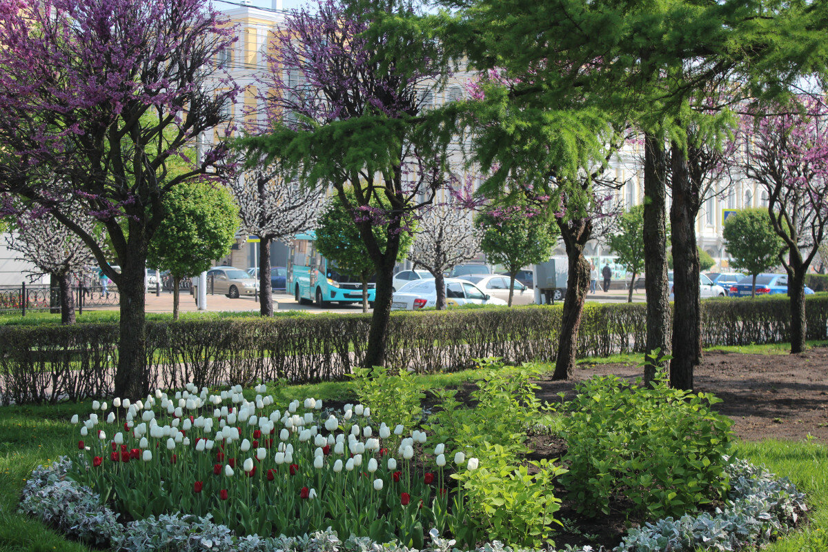   ГТРК "Ставрополье"