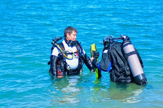    Фото:  АиФ/ Кирилл Романов