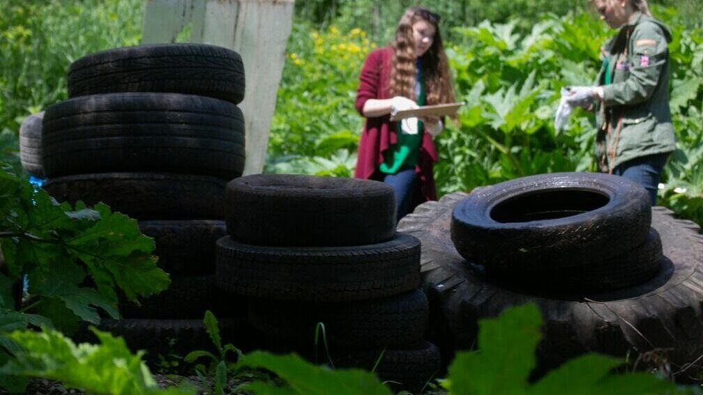     Жители карельской столицы жалуются на большое количество старой резины у контейнерных площадок. Администрация города призывает ответственно относиться к чистоте города.