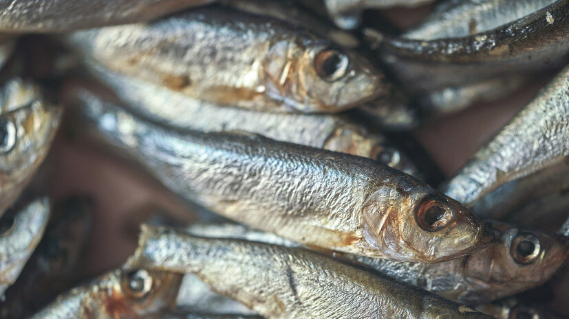   Gettyimages.ru GMVozd