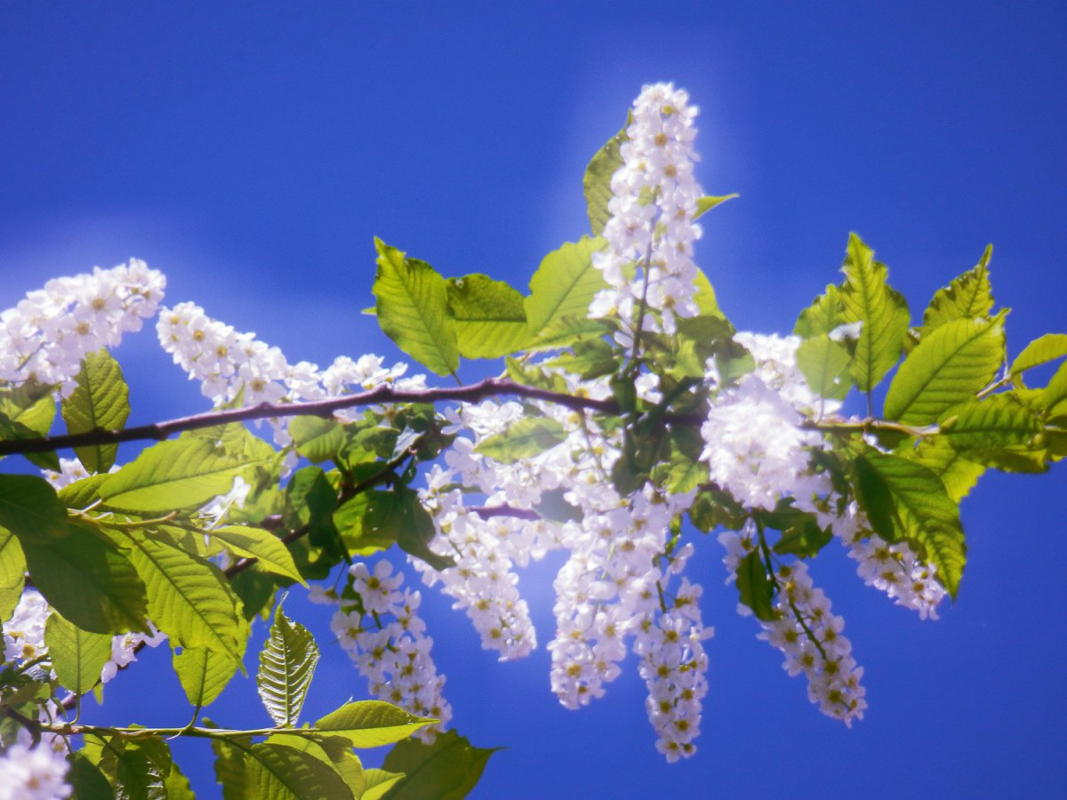 Источник vsegda-pomnim.com