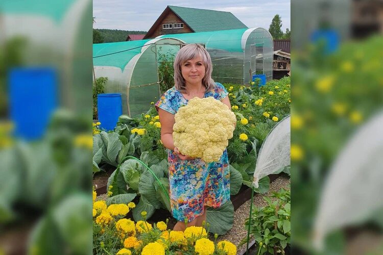 «Грядки» на подоконниках у иркутянки Виктории Анпилоговой цветут даже зимой.