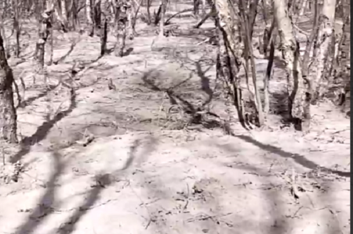    Пепел в селах повсюду