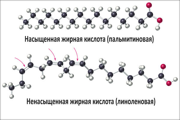 Формулы жирных кислот таблица Дайджест космических новостей 08.05.2023 - 21.05.2023 cosmo-dude Дзен
