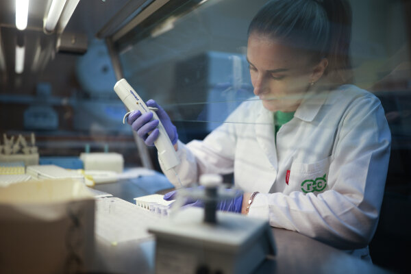 Фото: РИА Новости\Виталий Тимкив