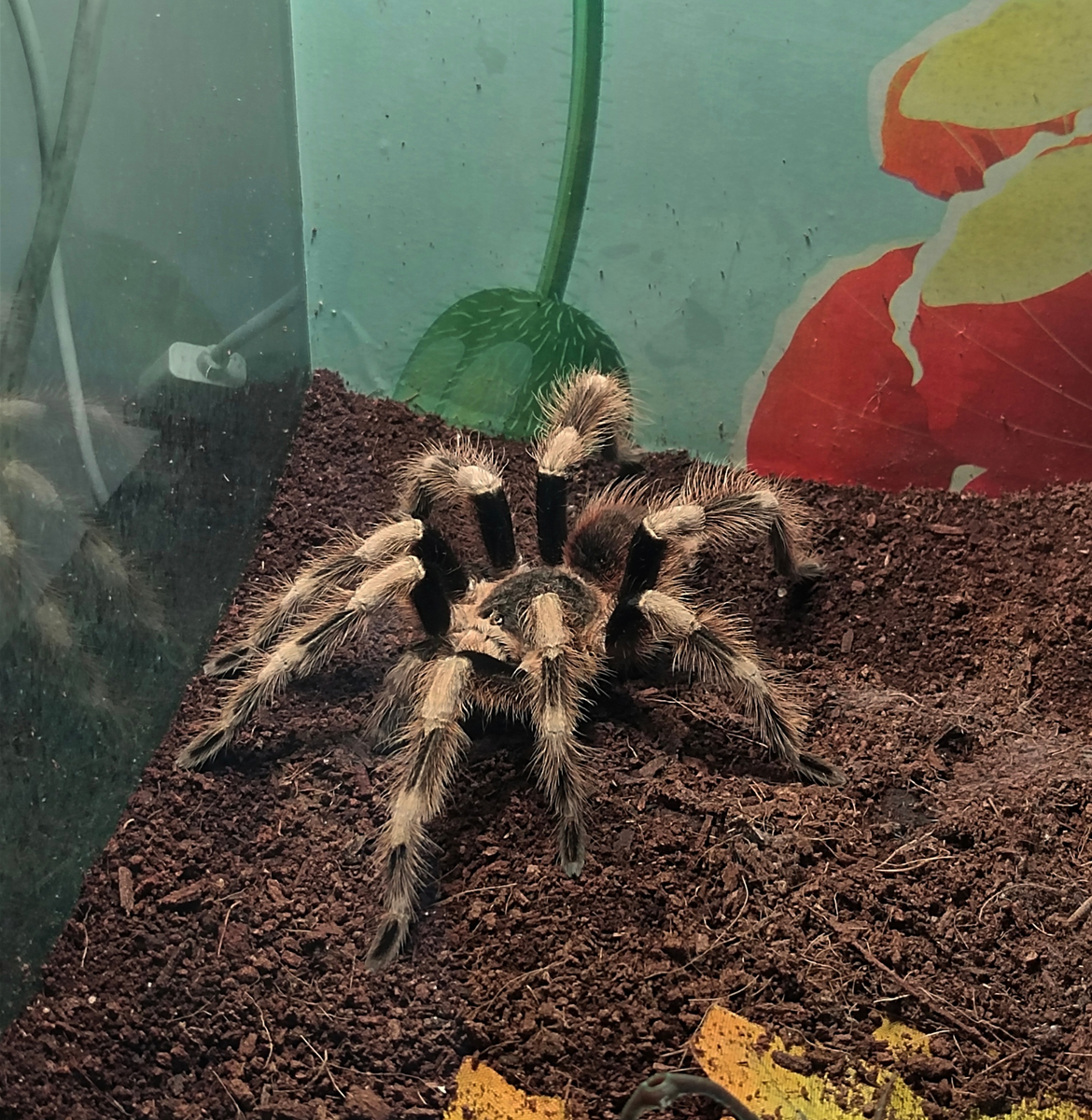 фото с открытых источников