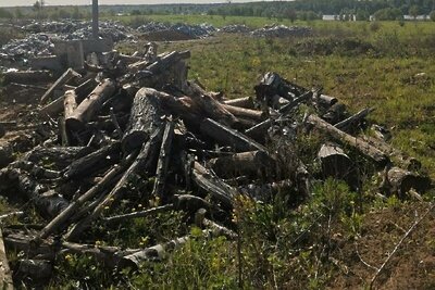    Незаконное размещение строительных отходов в Мытищах © Пресс-служба Министерства экологии и природопользования Московской области