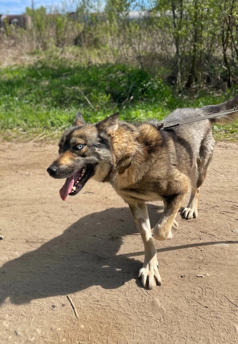 Техна спустя месяц после своего спасения😍