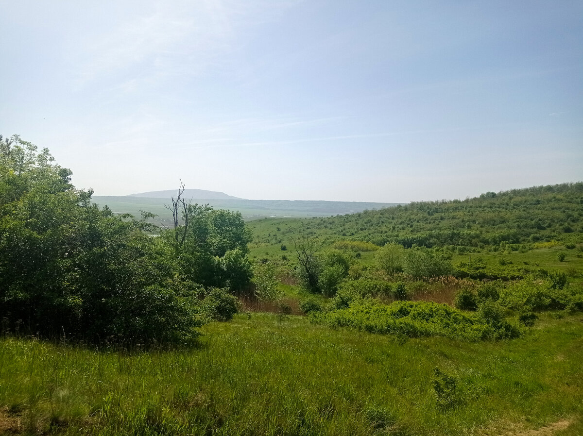 Тропа проходит по лугам и зарослям кустов