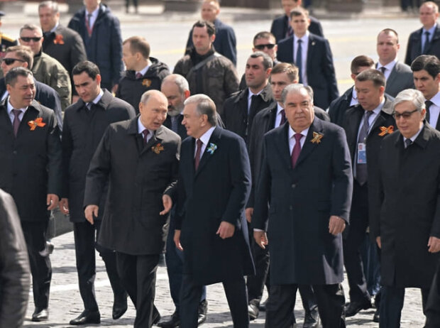 Источник фото: UPL24