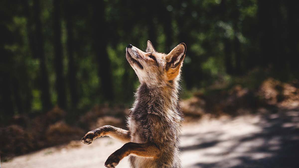    Фото: Unsplash