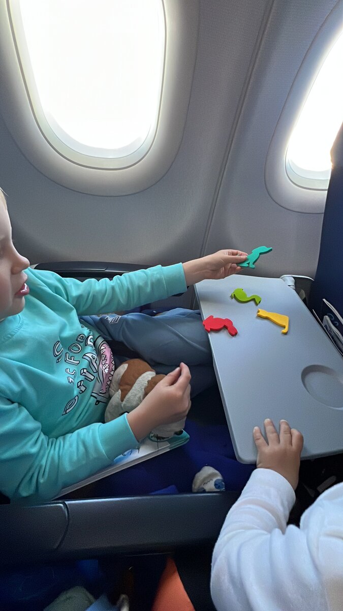 Аэрофлот подарил обоим парням по подарку (разные, исходя из возраста), вот с этими игрушками они и возились весь полет