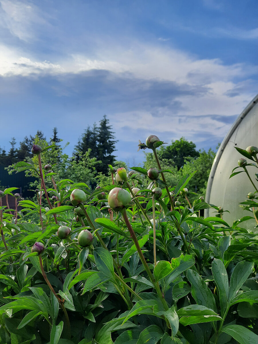 Фото автора прошлого или позапрошлого года