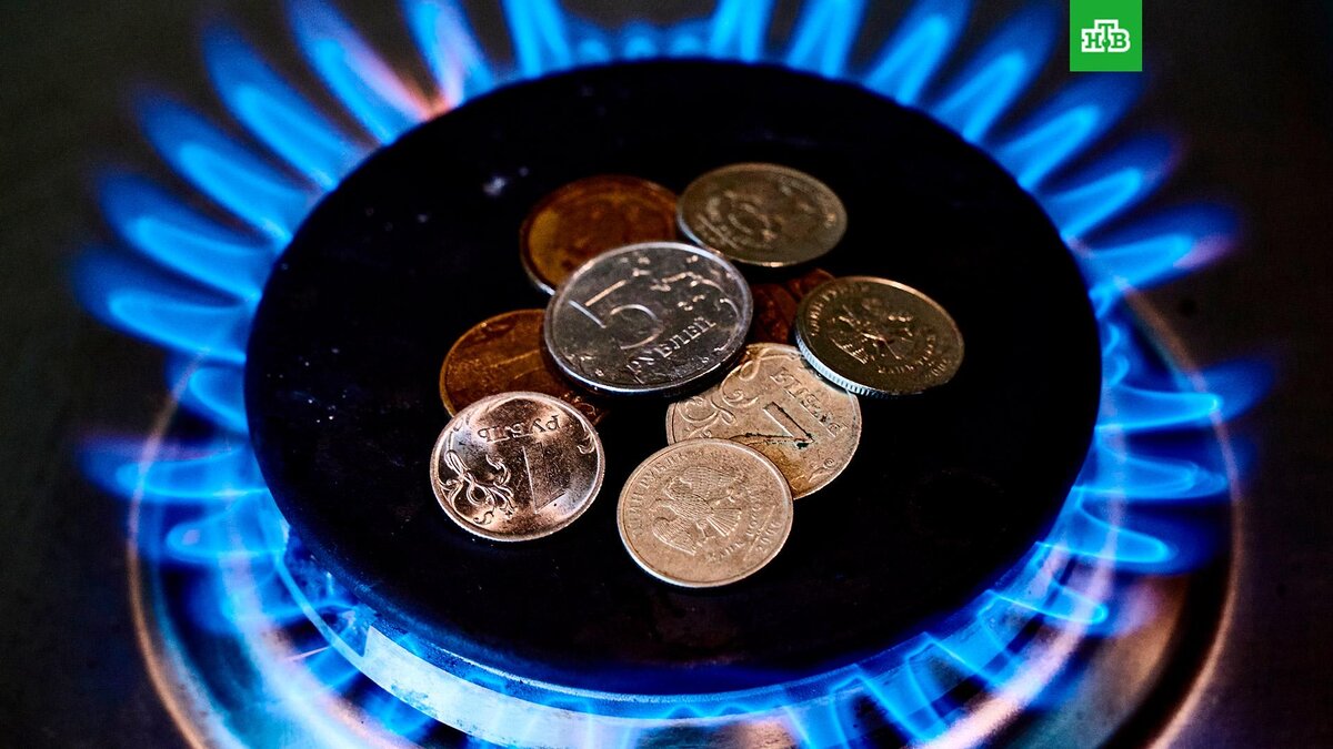    Фото: РИА Новости © 2023, Алексей Даничев