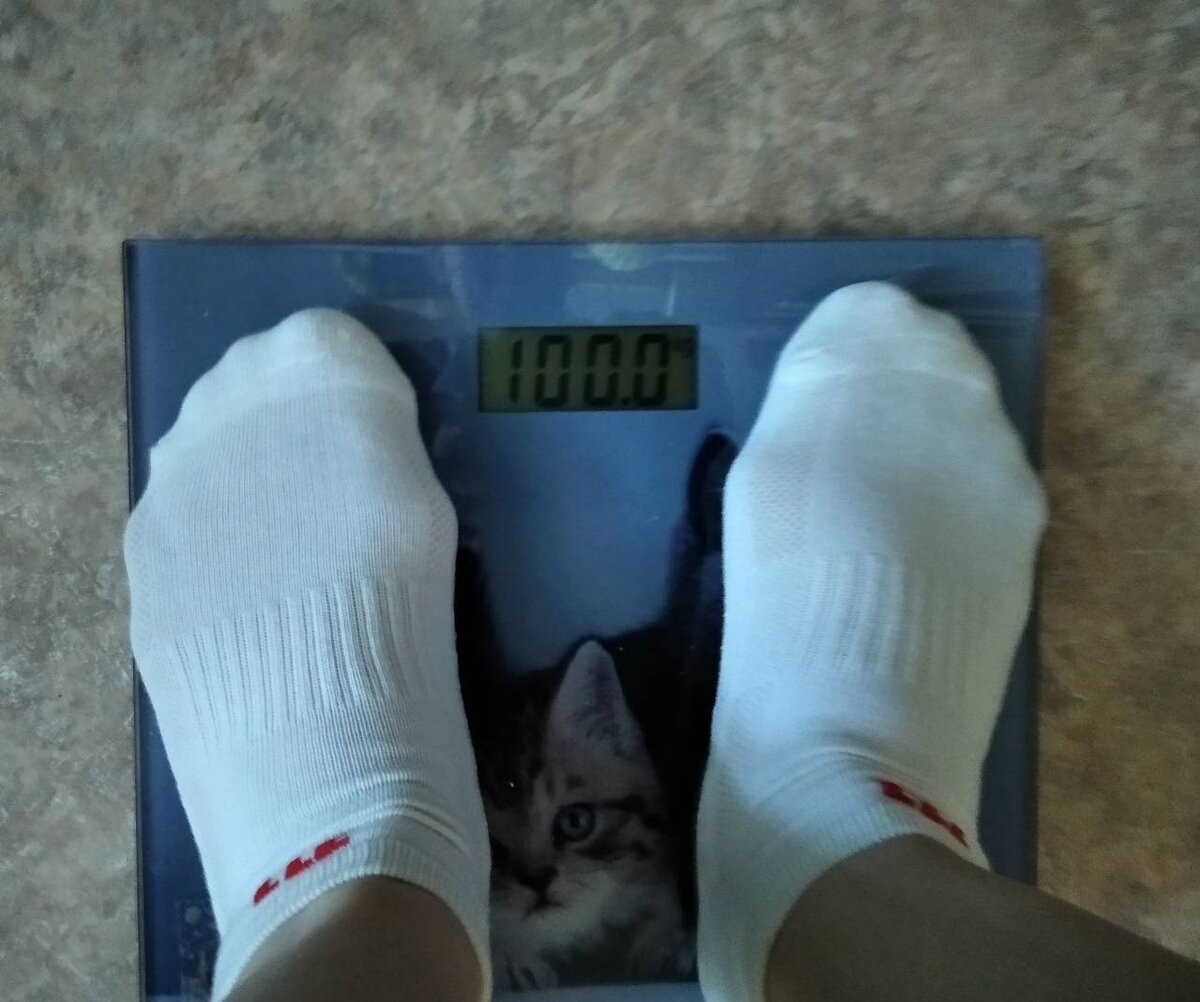 январь 2023 года, мой вес