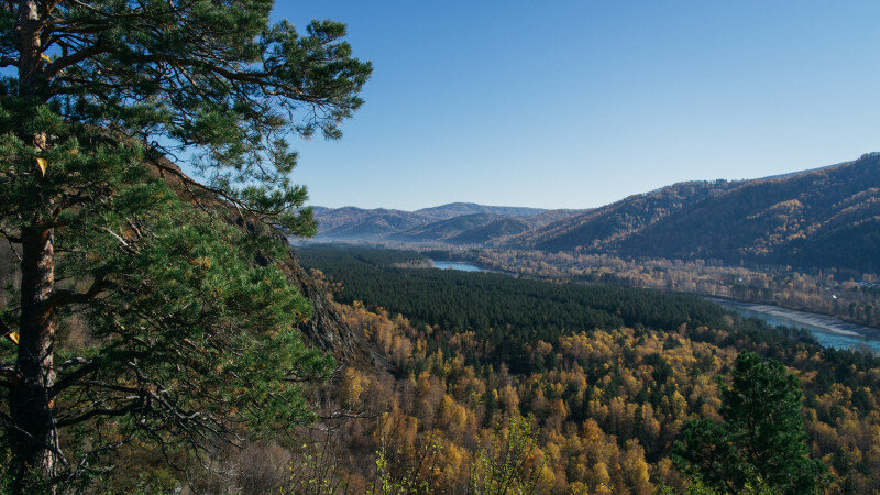     Тропа здоровья. Ая. Ирина Пергаева