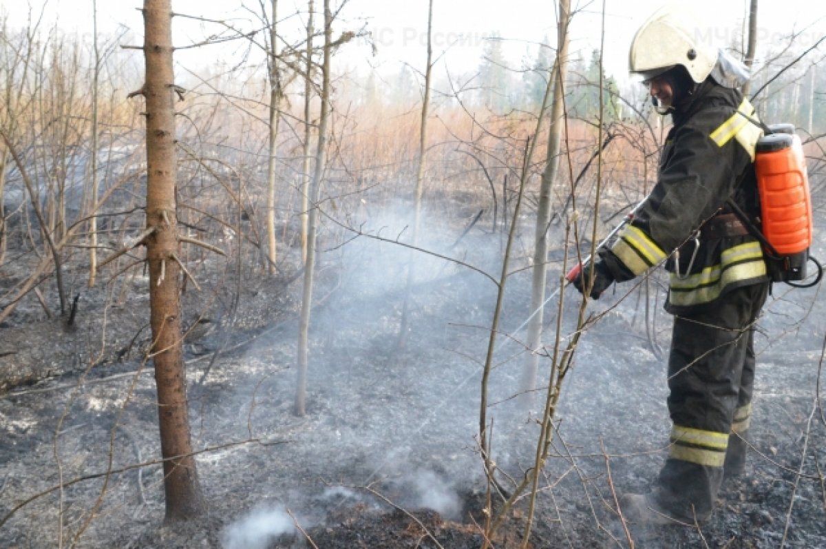    В Тверской области с 27 по 30 мая сохранится пожарная опасность