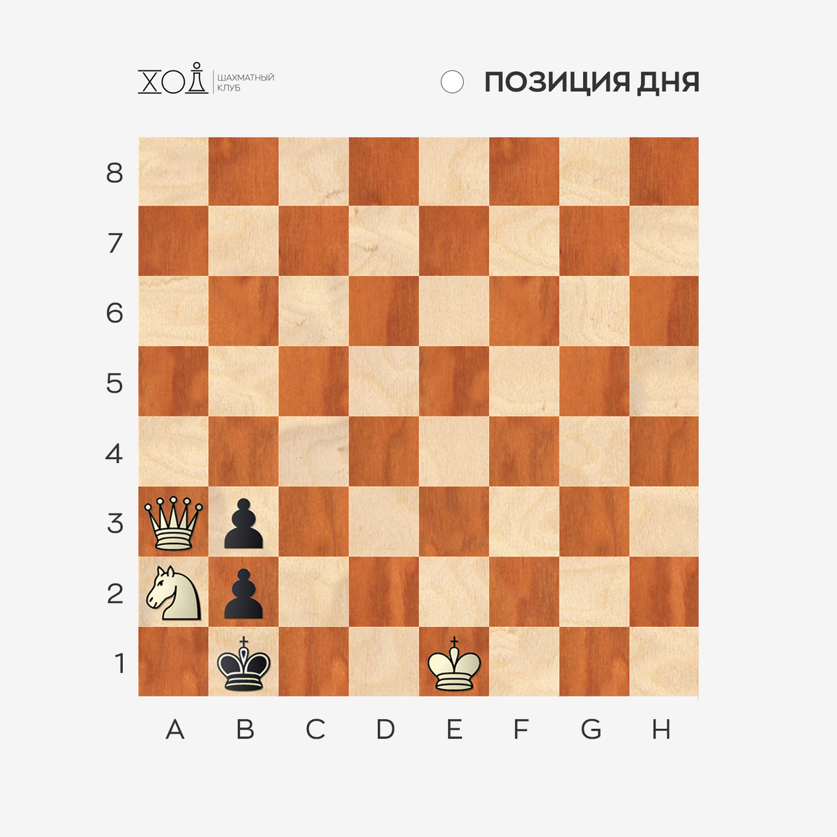 Задачи по шахматам