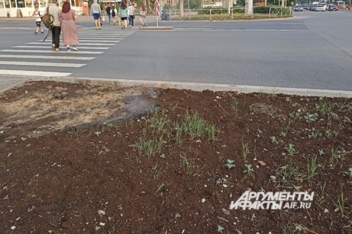    Пермяки пожаловались на постоянно дымящие пожароопасные газоны вдоль дороги