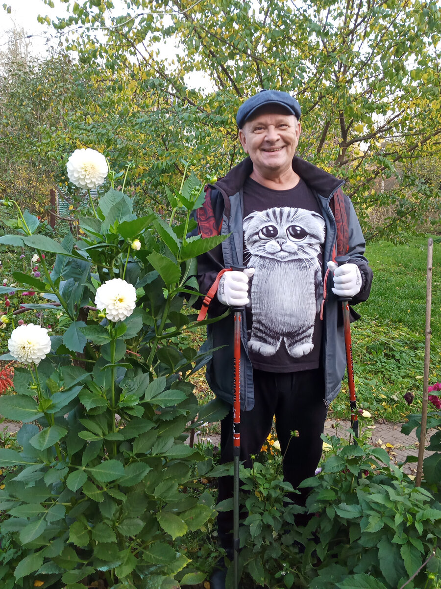 у кота тоже пузо