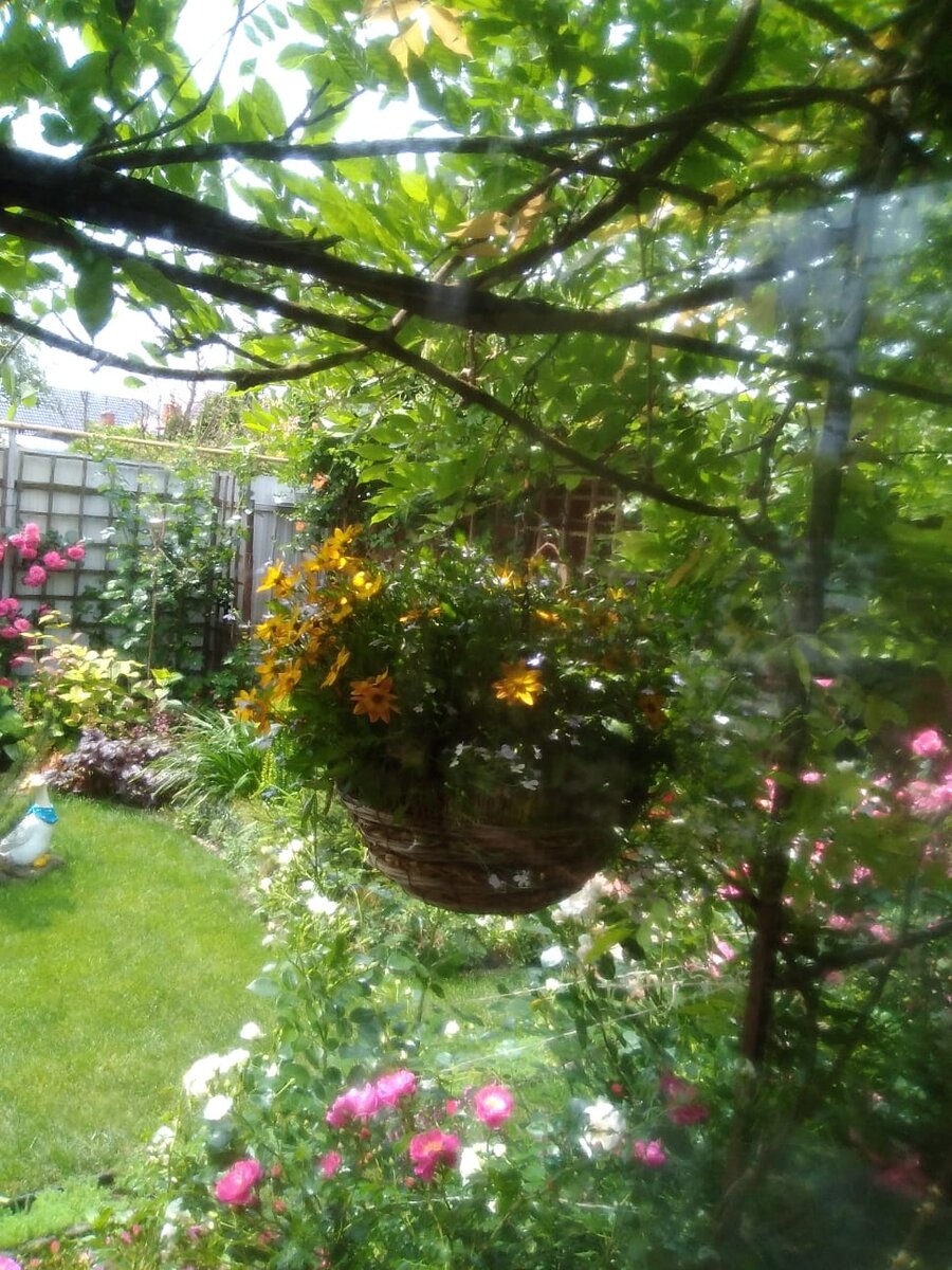 Цветники Натальи