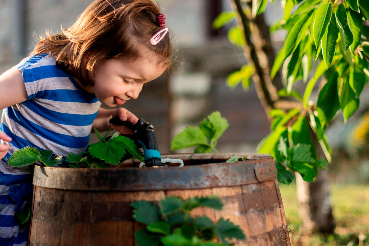 Дизайнерские декоративные емкости листайте галерею