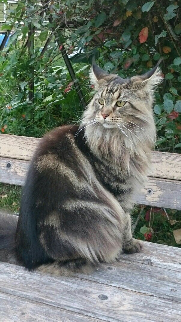 Фото из личного архива.