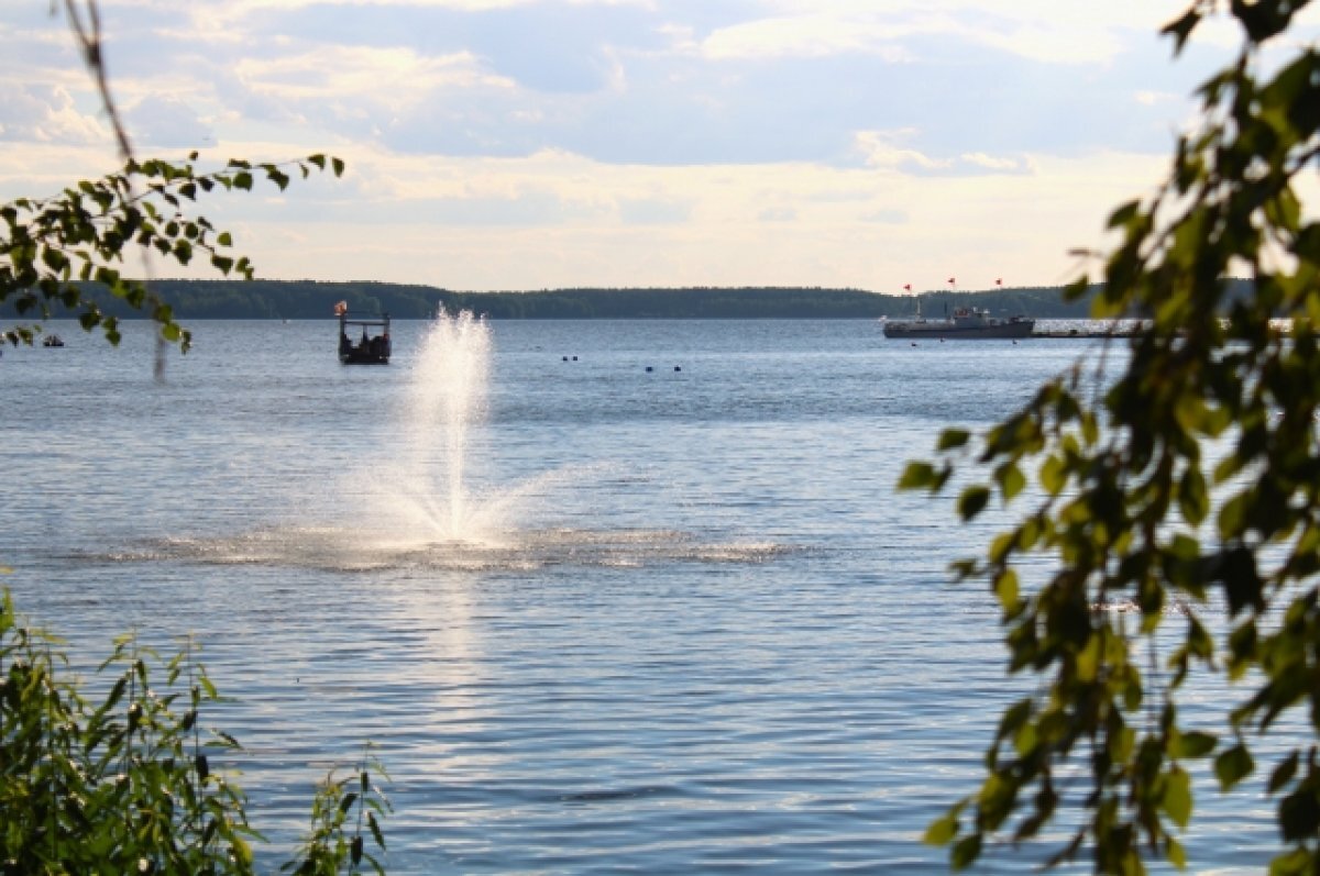    Гибель рыбы в реке Вала Удмуртии могла произойти из-за сброса отходов