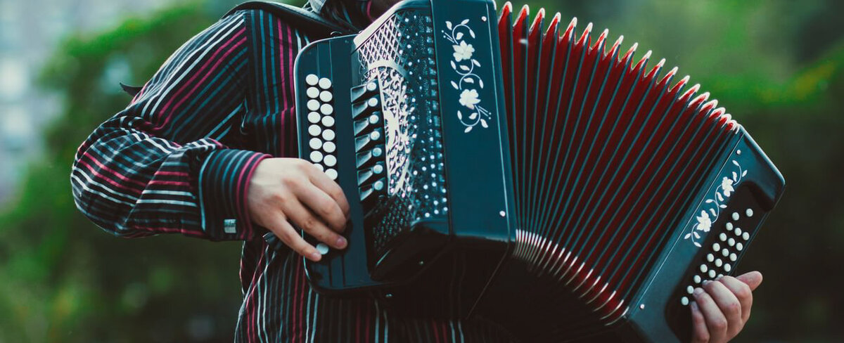    Давай, гармонь!