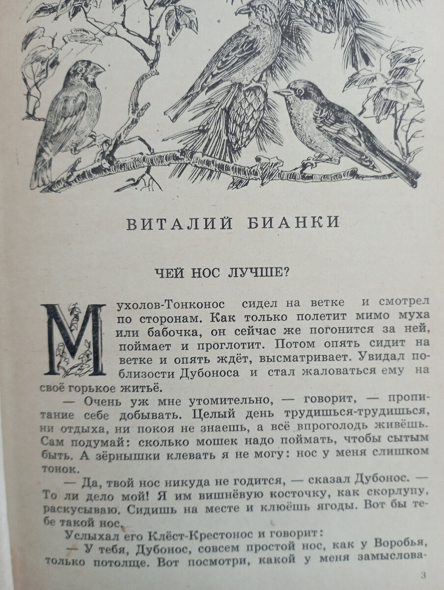 Чем нос лучше бианки. В. "чей нос лучше?". Чем нос лучше бианки. Чем нос лучше бианки.