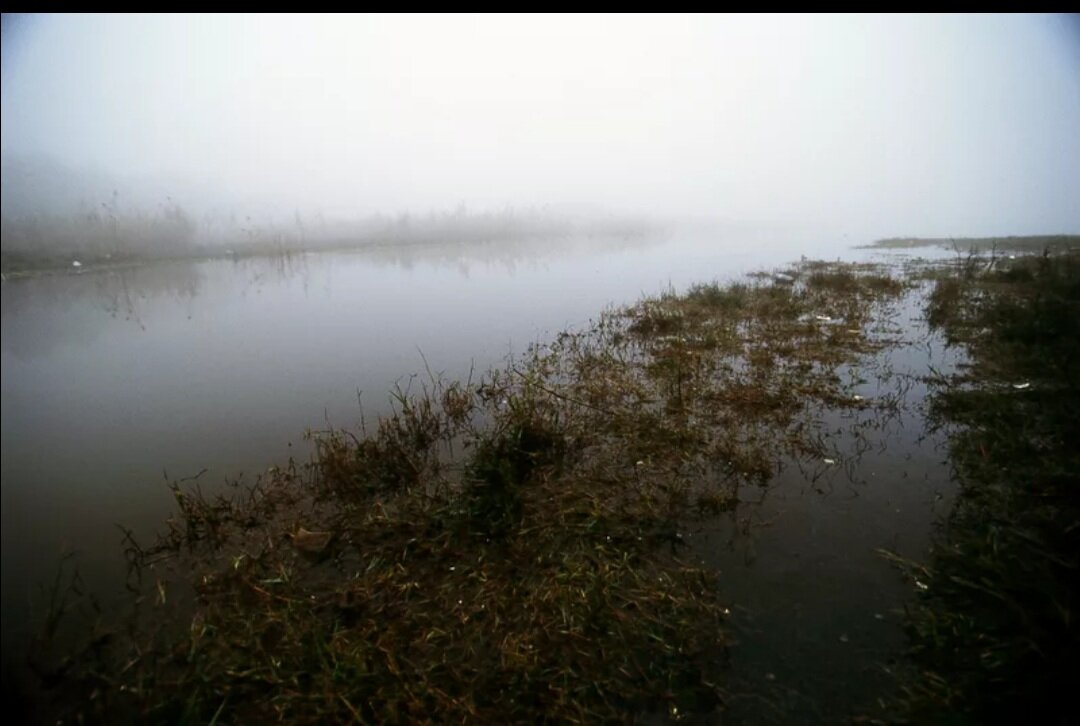 собака баскервилей болота. собака баскервилей какие болота. собака баскервилей гринпинская трясина. собака баскервилей какие болота. гримпенская трясина собака баскервилей.