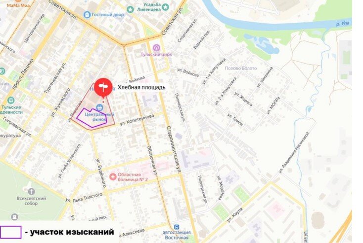    Фото: Скриншот/ Сборник правовых актов Тулы