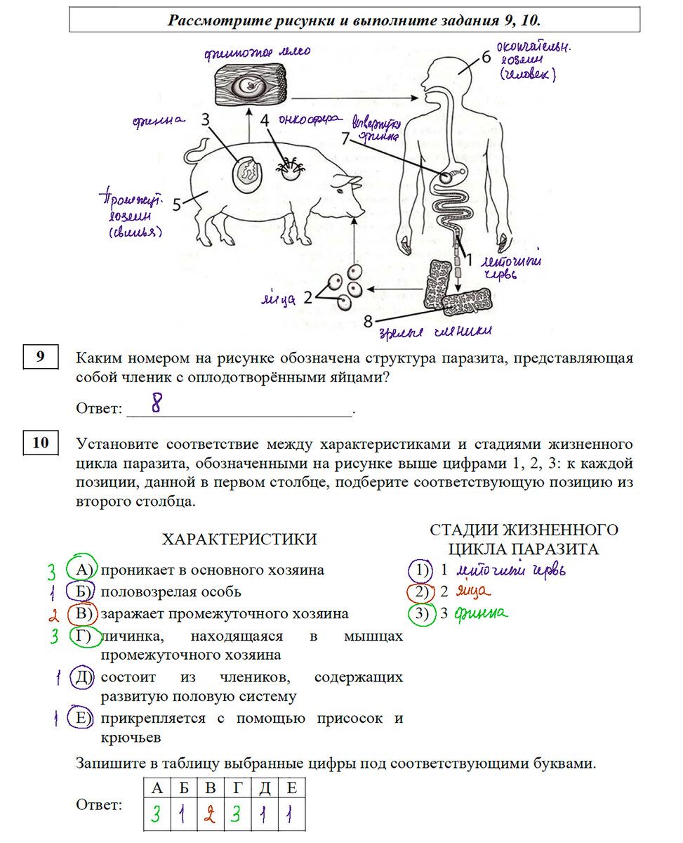 Искусство егэ 2023