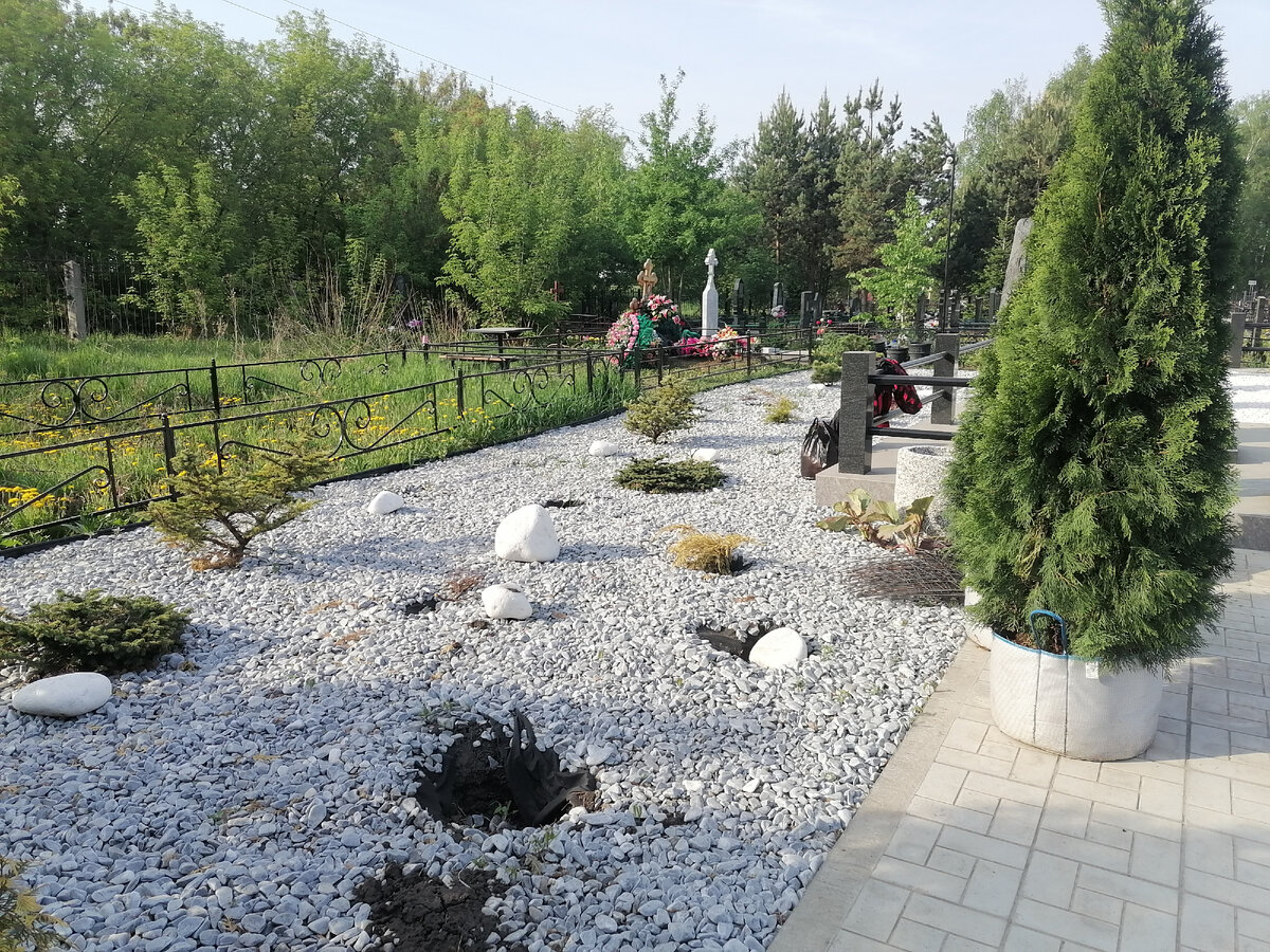 Здесь украдено 7 хвойных позиций