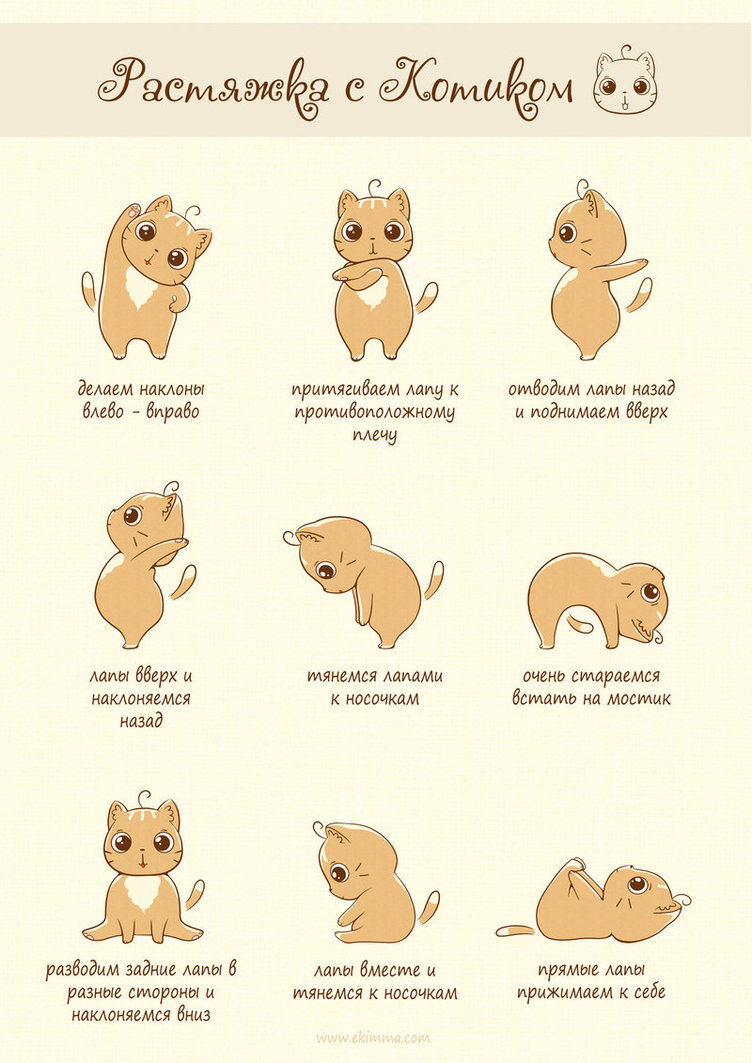 Не забываем разминаться, котики) Картинка из открытых источников)